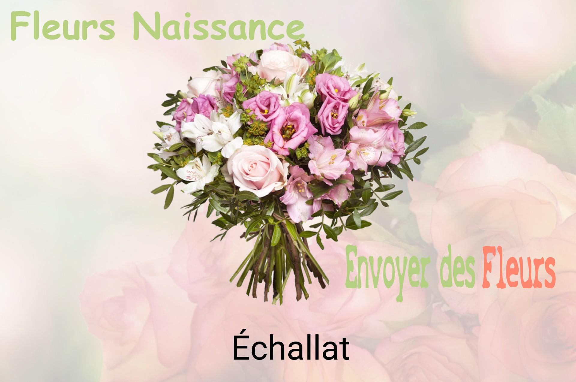 Bouquet de fleurs de naissance livré à Échallat