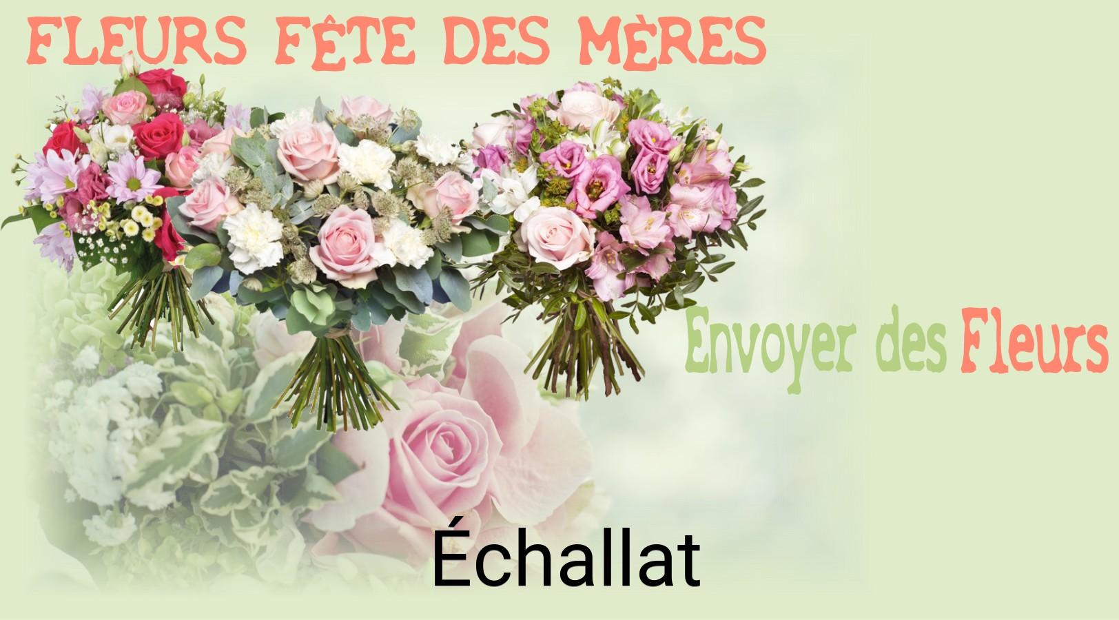 Bouquet de Fête des Mères livré à Échallat